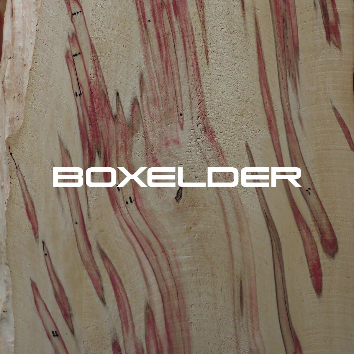Boxelder grain