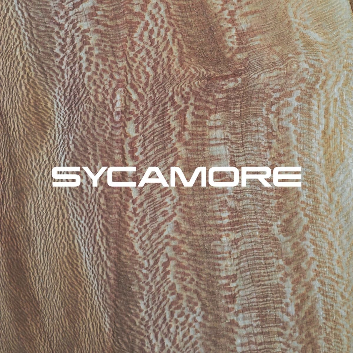 Sycamore grain